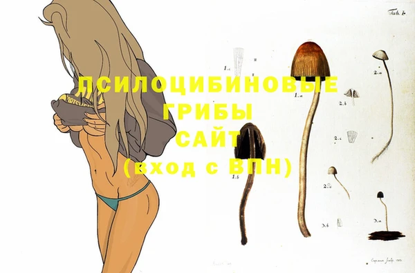 кокаин перу Рославль