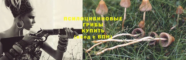 соль ск Алексеевка