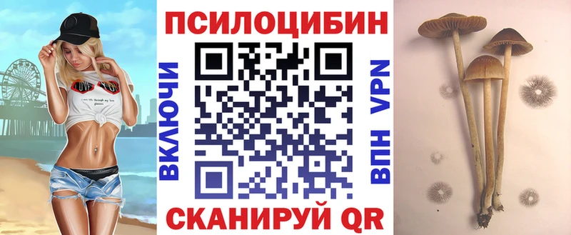 Галлюциногенные грибы прущие грибы omg зеркало Муравленко